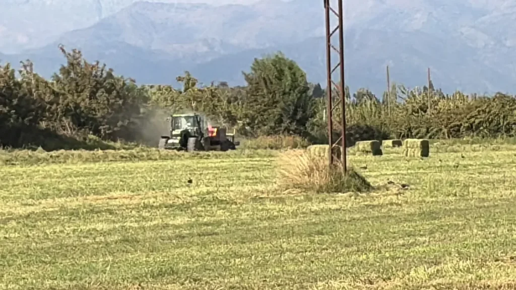 Trabajo en terreno con fardos